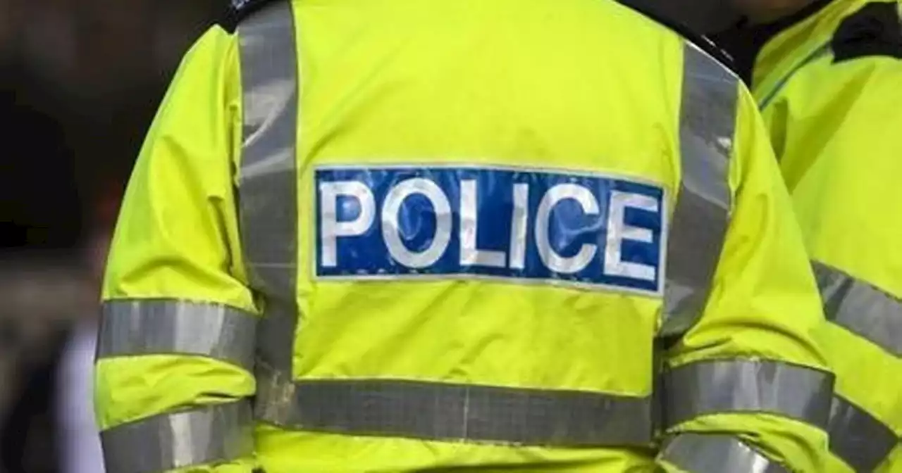 Appeal after man slaps woman then exposes himself