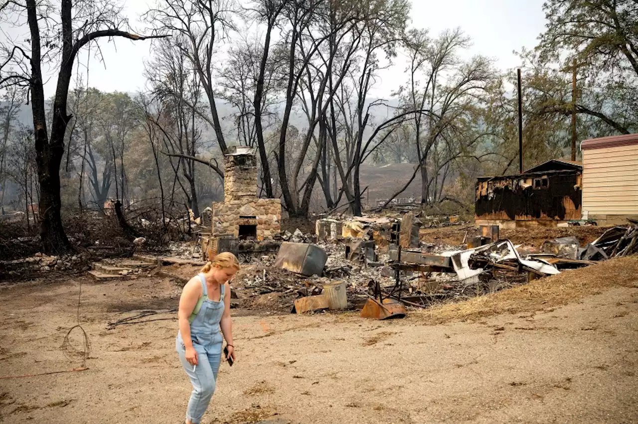 How California’s historic wet winter could make wildfire season even worse