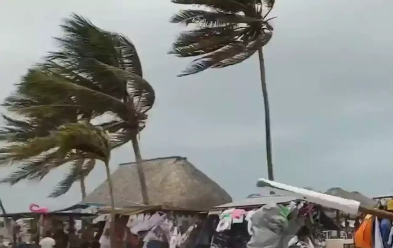 Qroo. Reportan fuertes vientos en Isla de Holbox