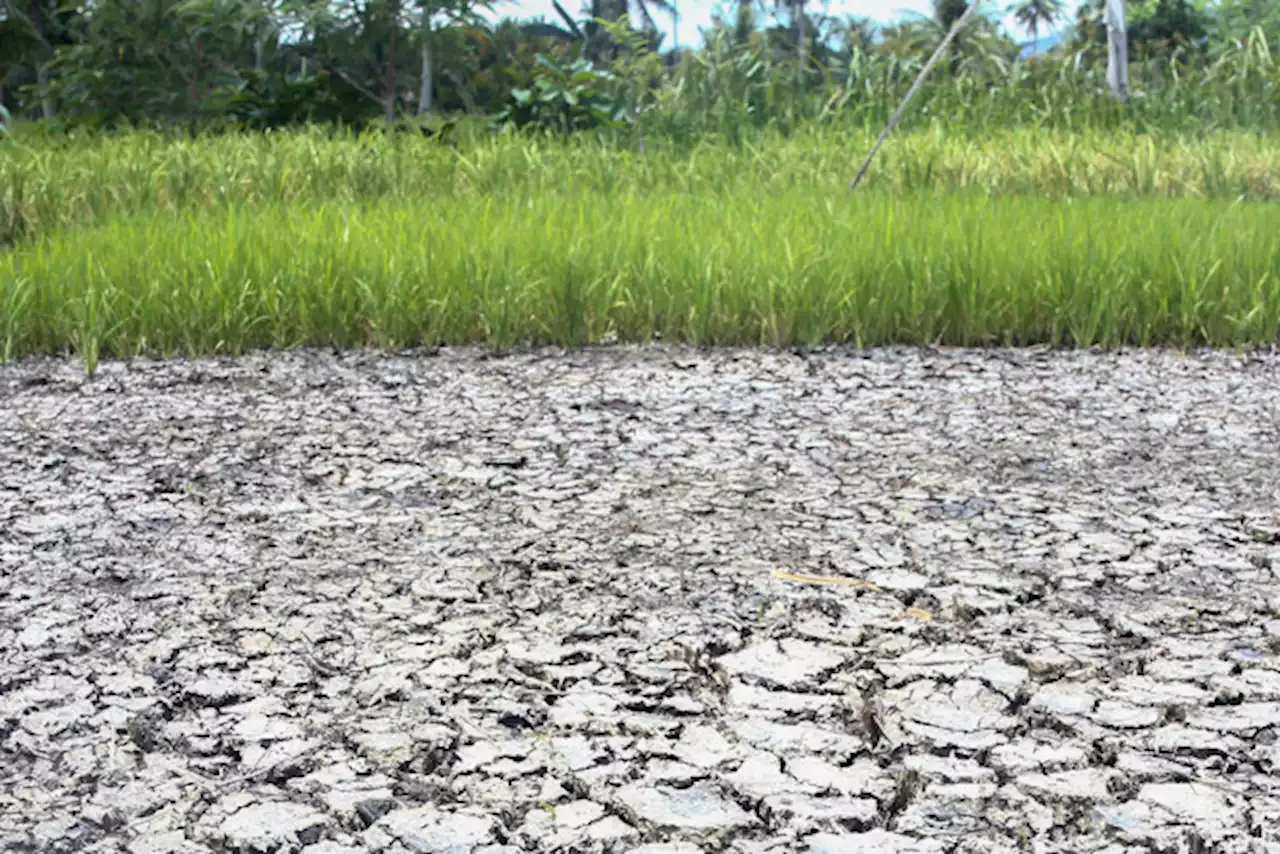 El Niño projected to hit starting July 2023