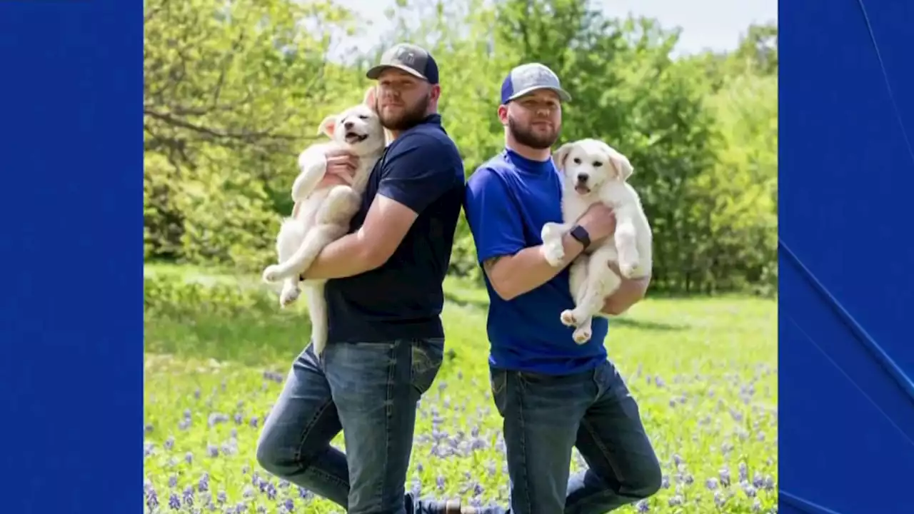 City of Mansfield Uses Bluebonnet Photoshoot to Help Get Dogs Adopted