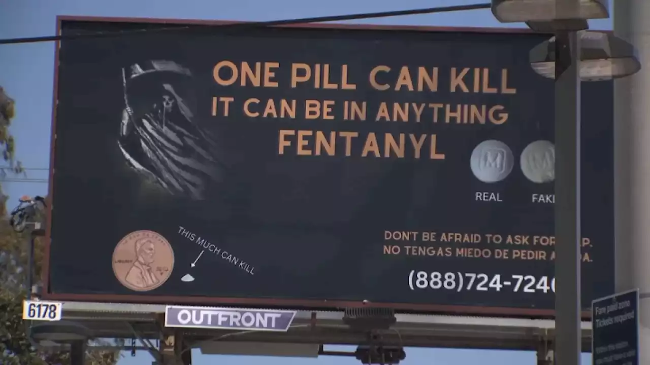 ‘One Pill Can Kill': Local Students Take Up Fight Against Fentanyl