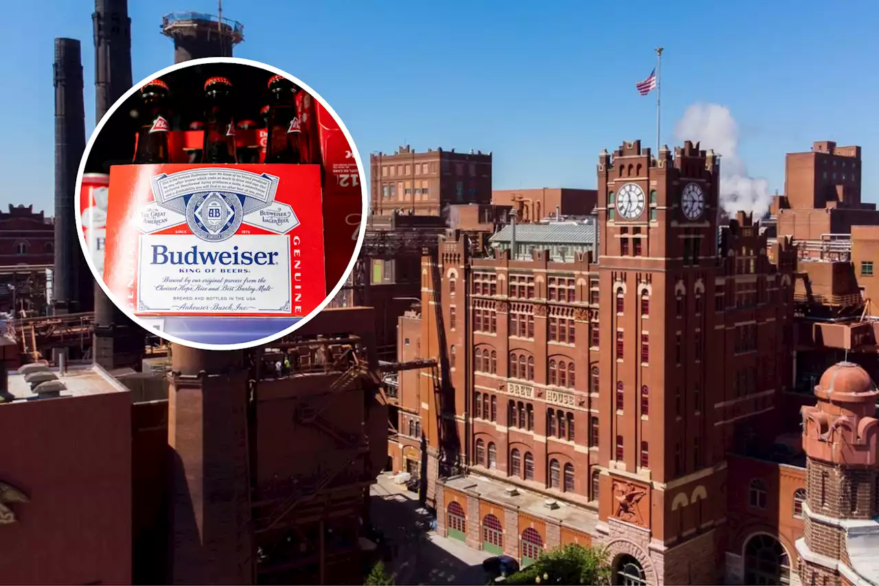 Budweiser releases patriotic 'heart of America' ad amid Bud Light backlash