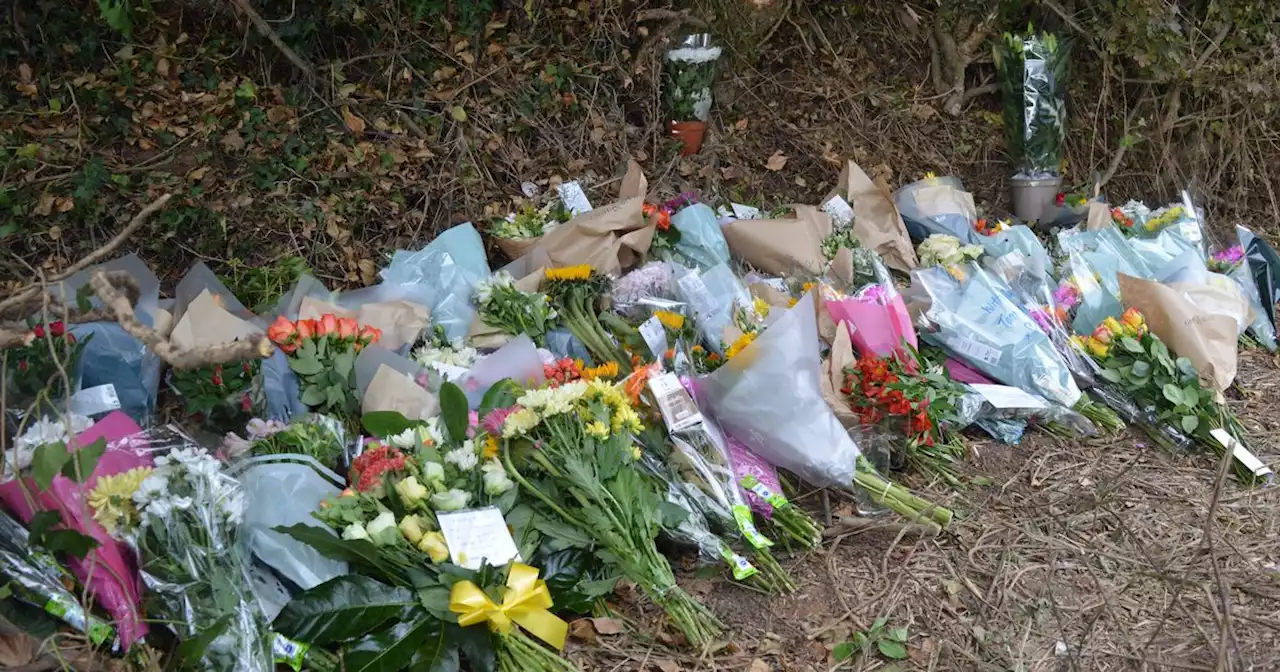 Coroner to examine deaths of friends who died in village crash