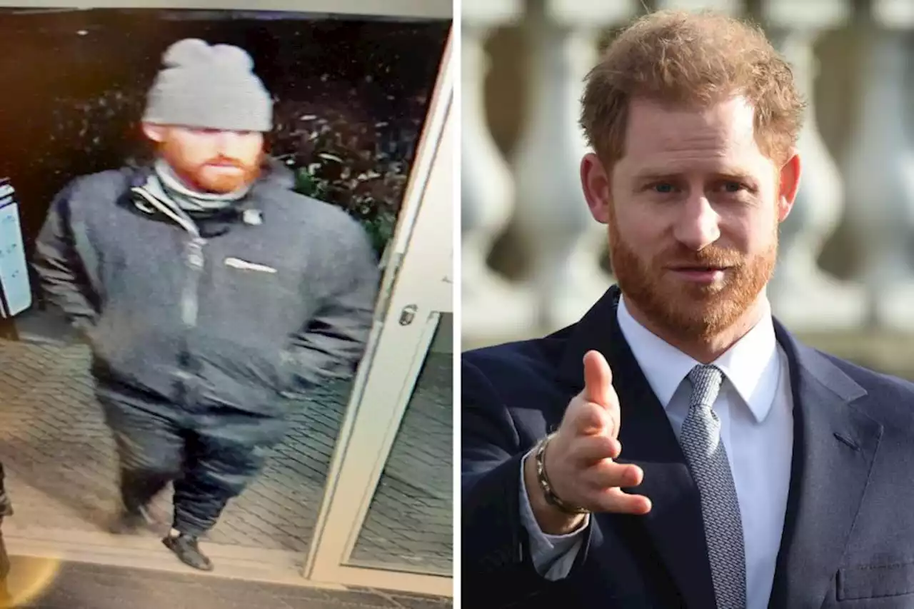 Prince Harry comically likened to wanted man after police appeal