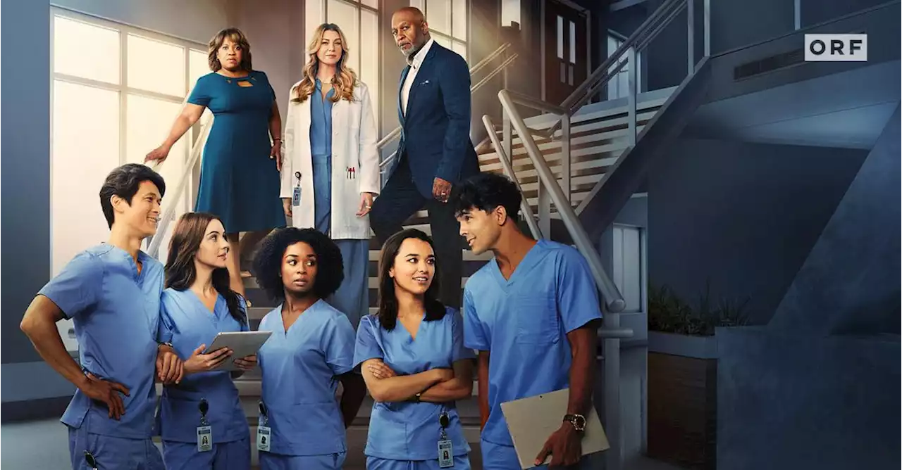 Start für Season 19 am 17. April in ORF1: „Grey’s Anatomy“ mit alten Bekannten, neuen Gesichtern und einem großen Abschied - tv.ORF.at