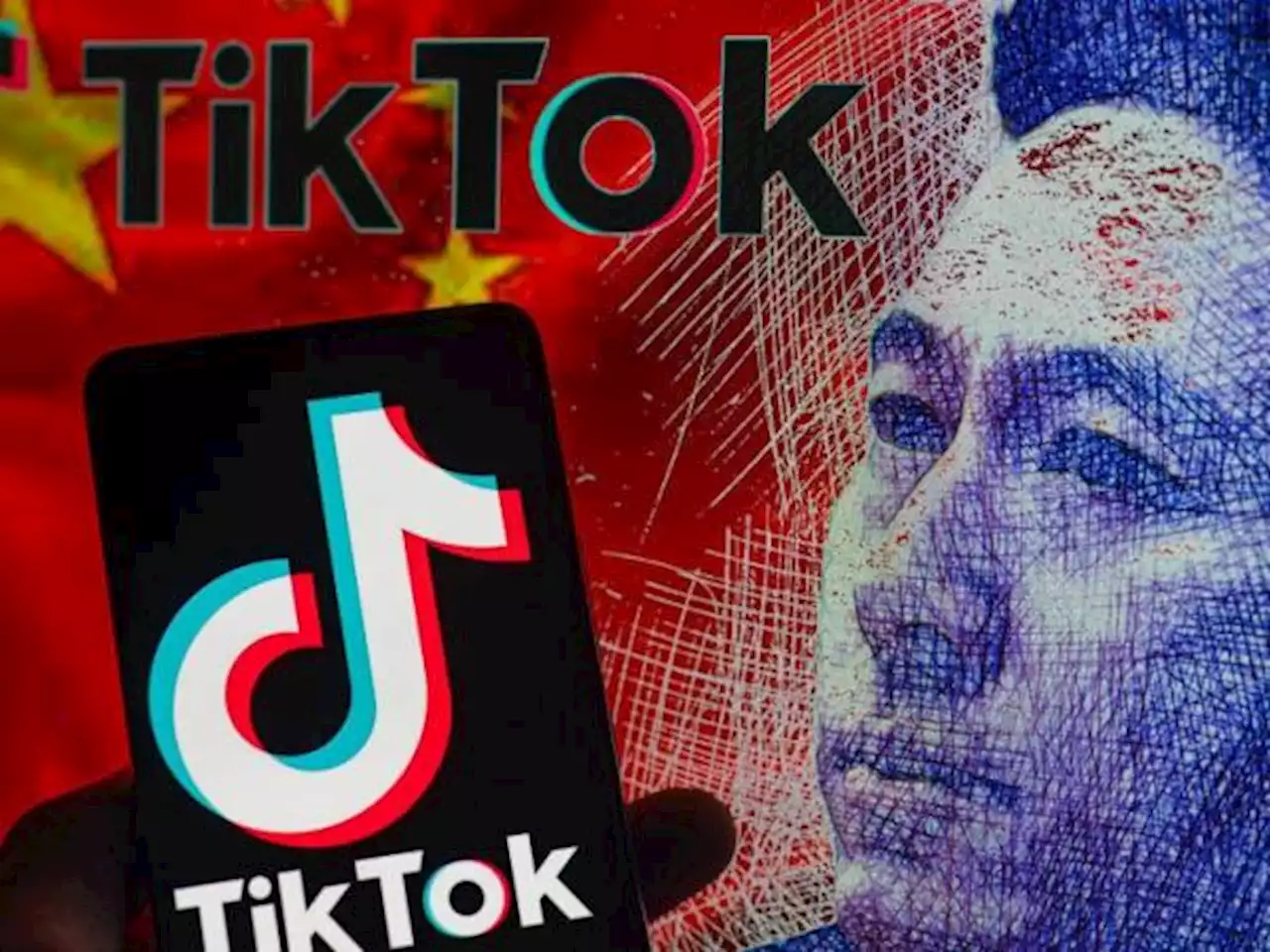 'La extensión del espionaje que hace TikTok es igual a la de Facebook'