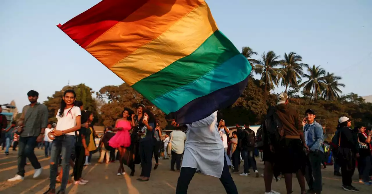 India government calls same-sex marriage appeals 'urban elitist views'