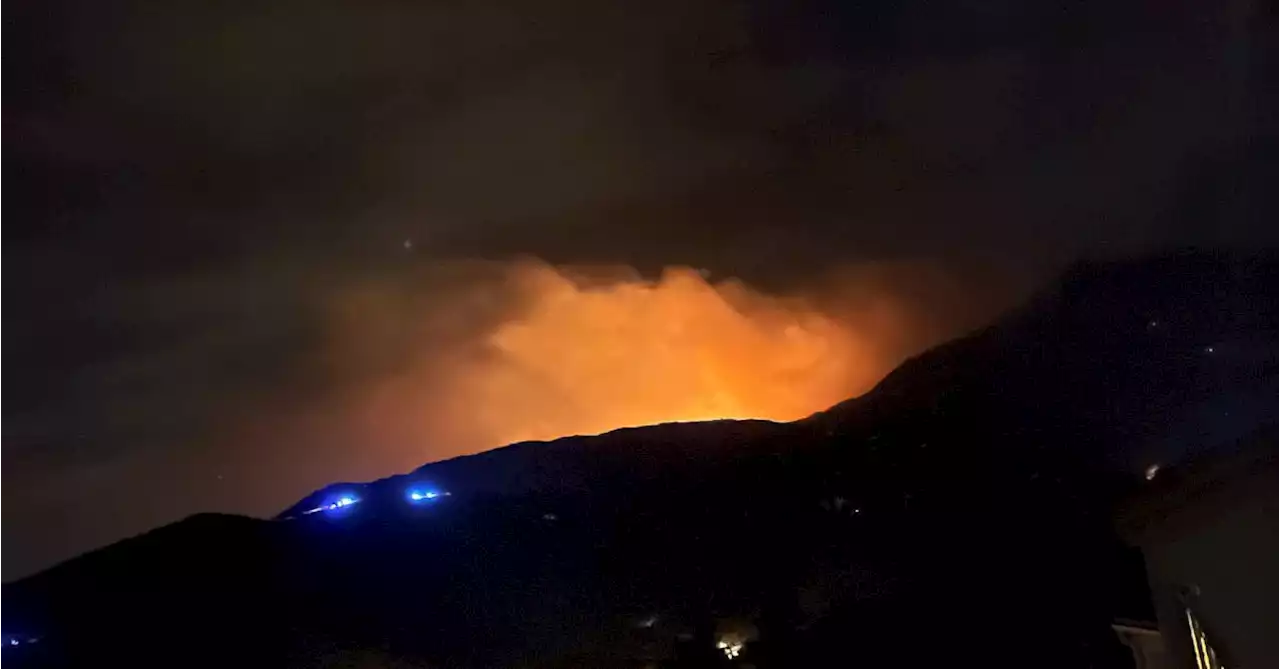 Wildfire on French-Spanish border destroys 1,000 hectares