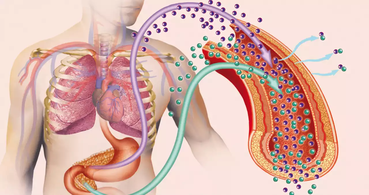 ¿Qué le sucede al cuerpo si deja de consumir azúcar definitivamente?