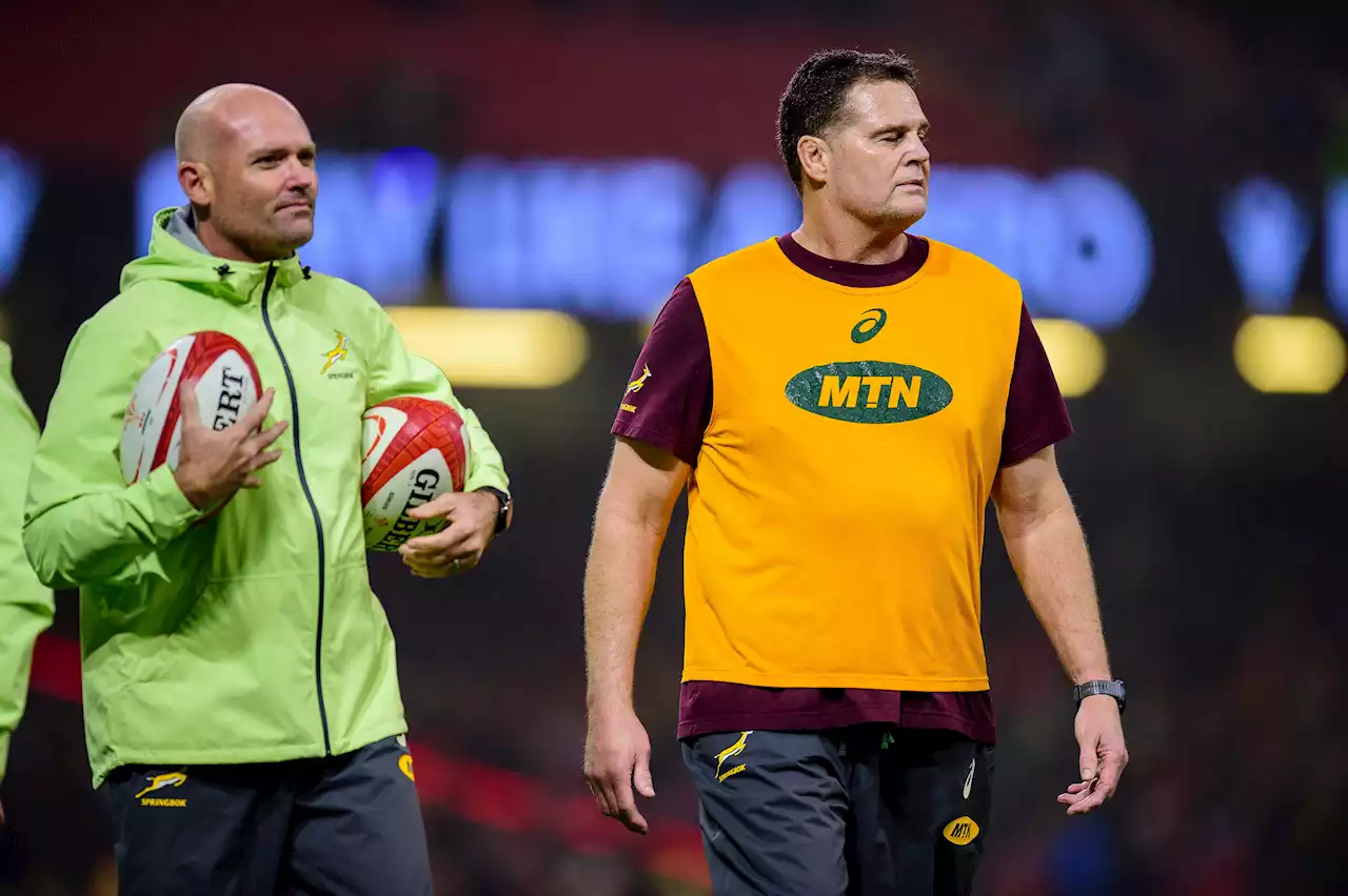 Next Bok coach: Nienaber out, who comes in?