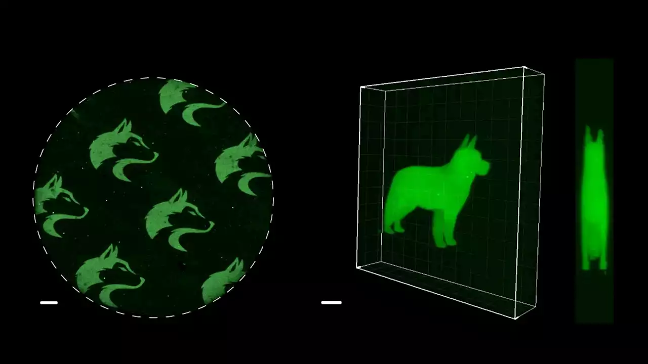 Protein Power Play: SpyLigation Flips the Switch With a Flash of Light