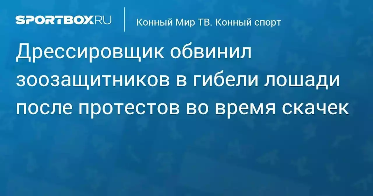 Дрессировщик обвинил зоозащитников в гибели лошади после протестов во время скачек