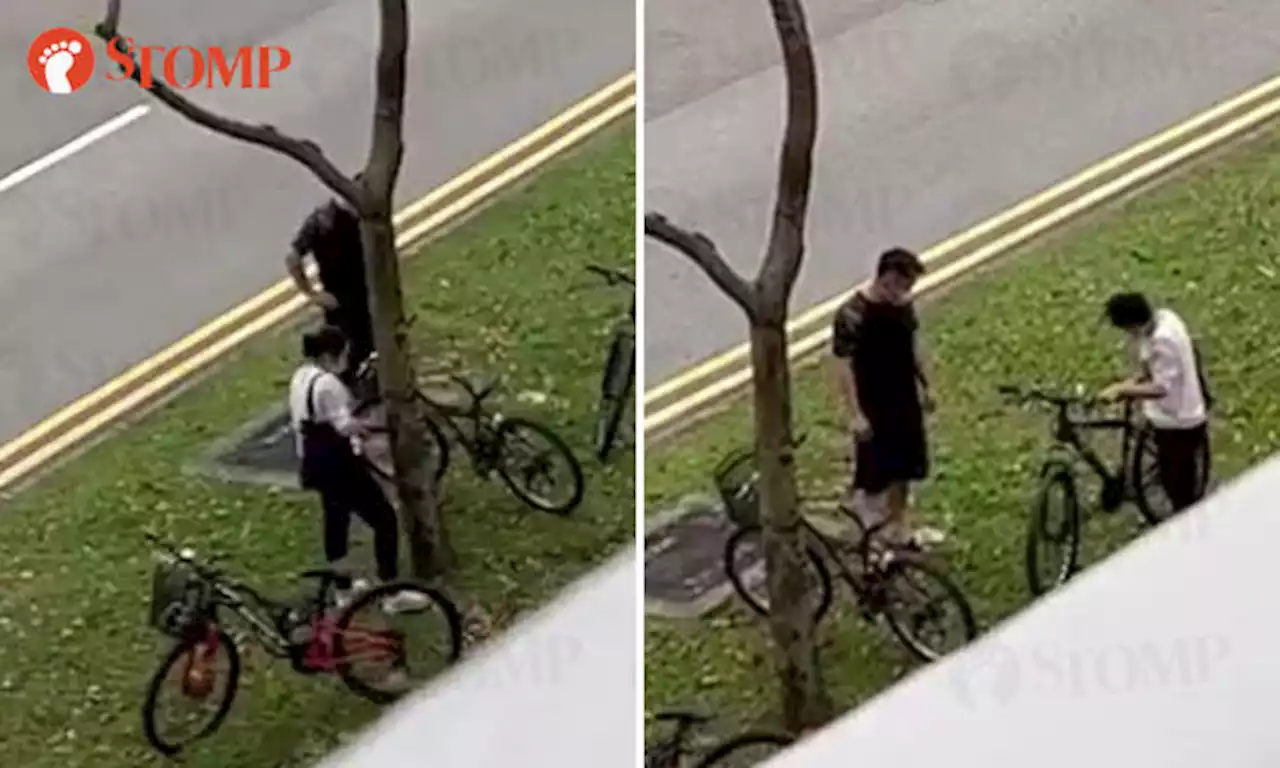 Couple acts suspiciously while 'browsing' bicycles parked next to walkway in Woodlands