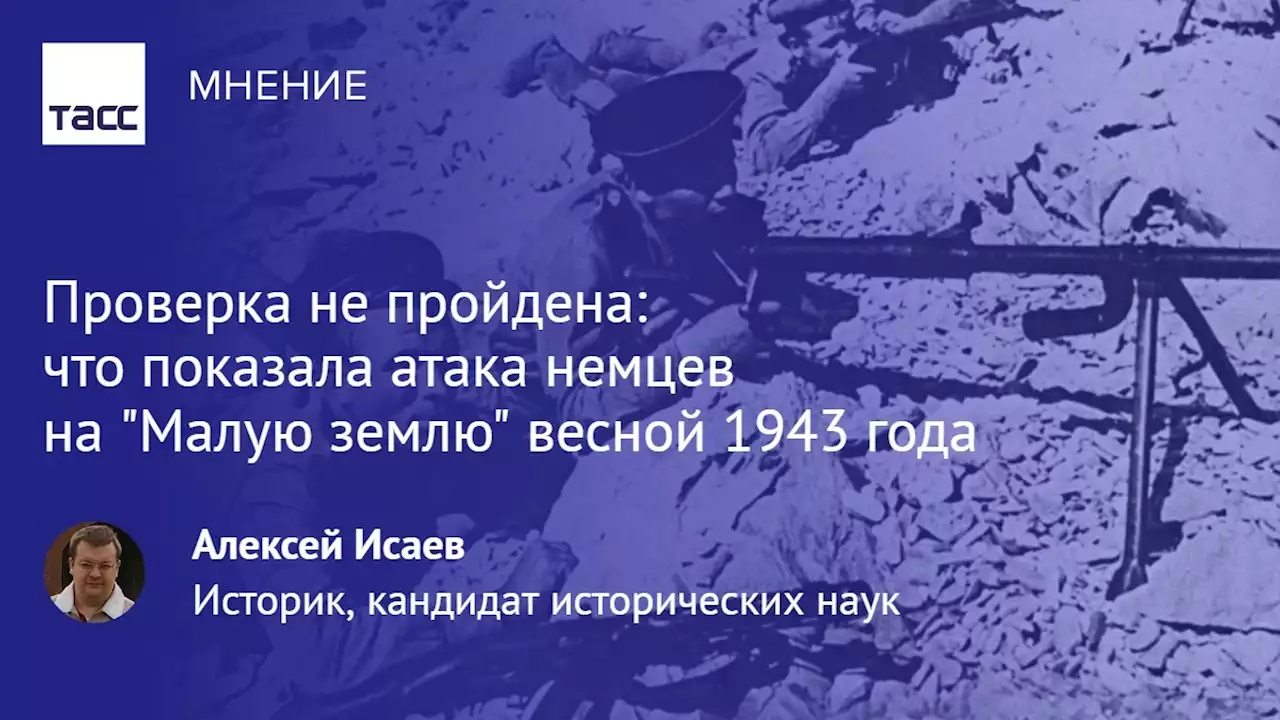 Проверка не пройдена: что показала атака немцев на 'Малую землю' весной 1943 года - Мнения ТАСС