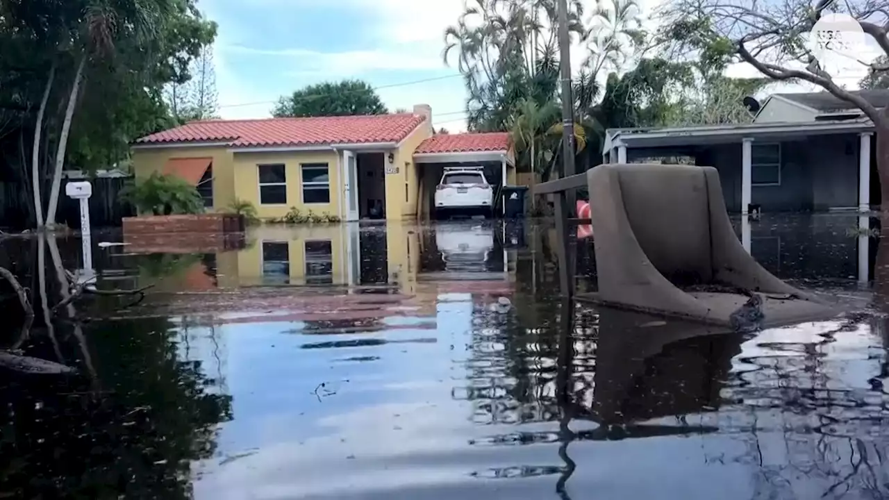 Fort Lauderdale warns residents flood waters could contain rodents and snakes: Updates