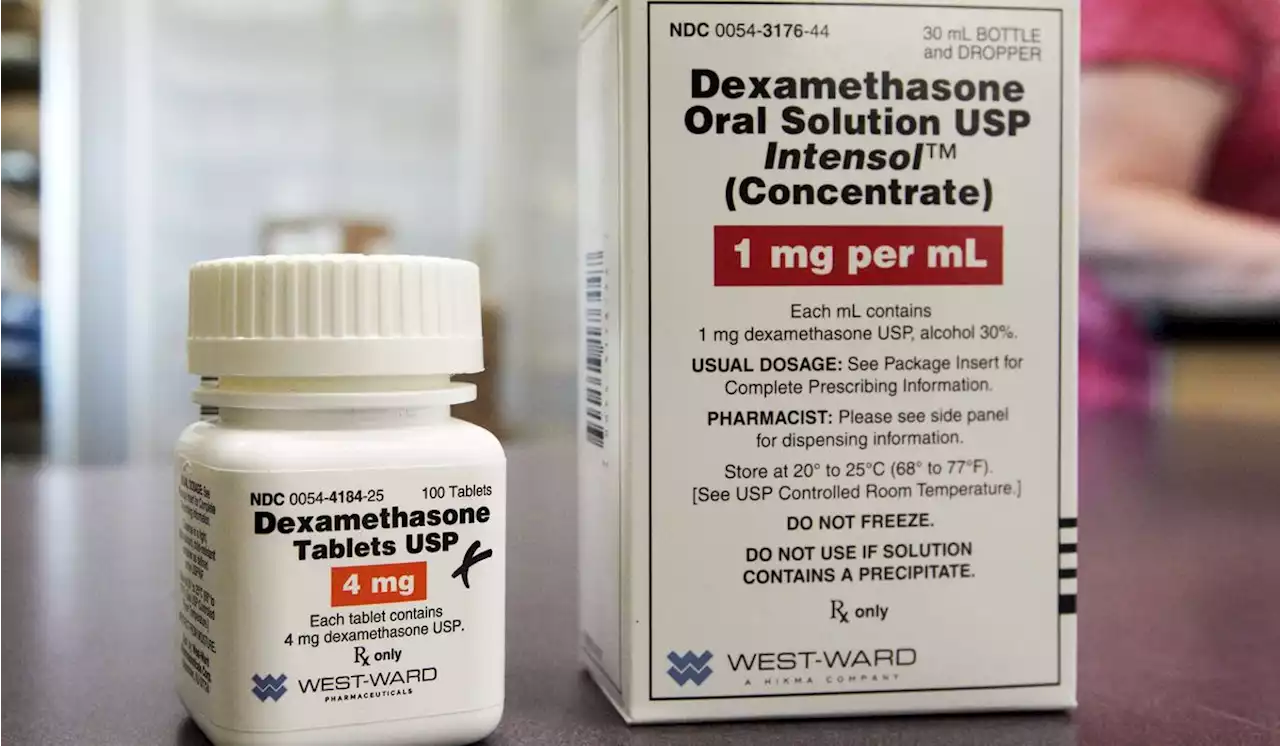 Anti-inflammatory steroid dexamethasone effective in severe COVID cases: Study