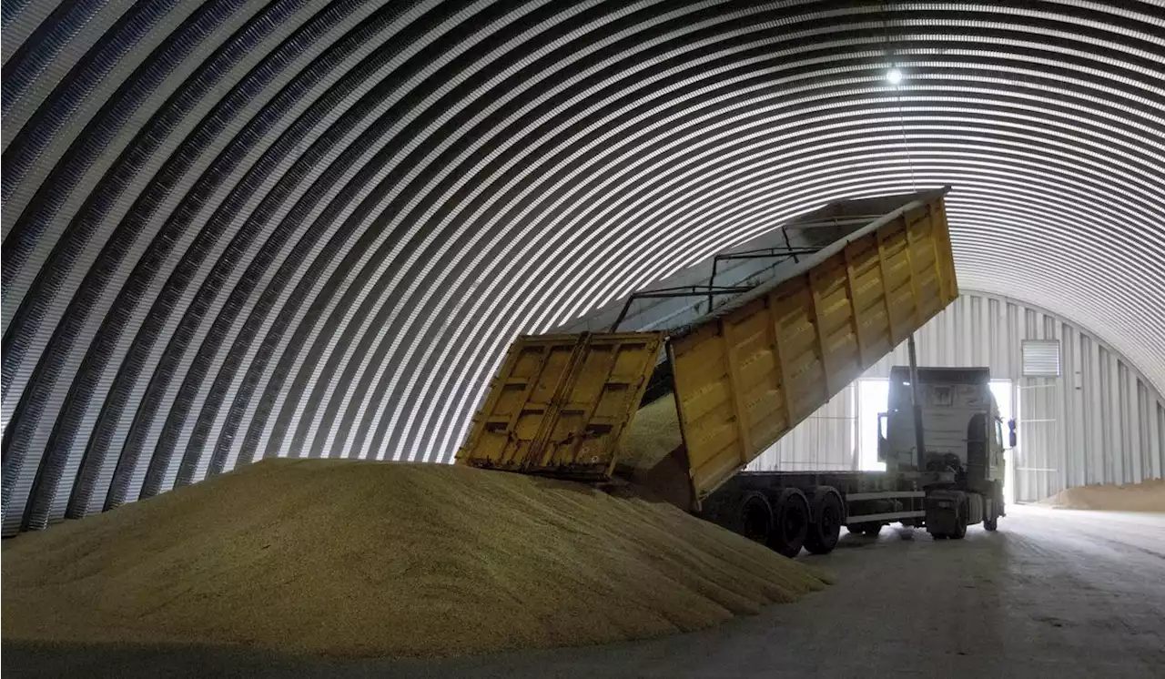 EU investigates after 3 countries ban Ukraine grain imports