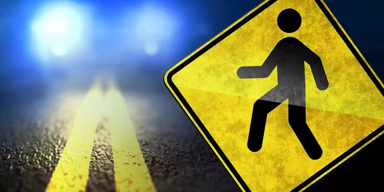 Pedestrian hit and killed on Highway 231