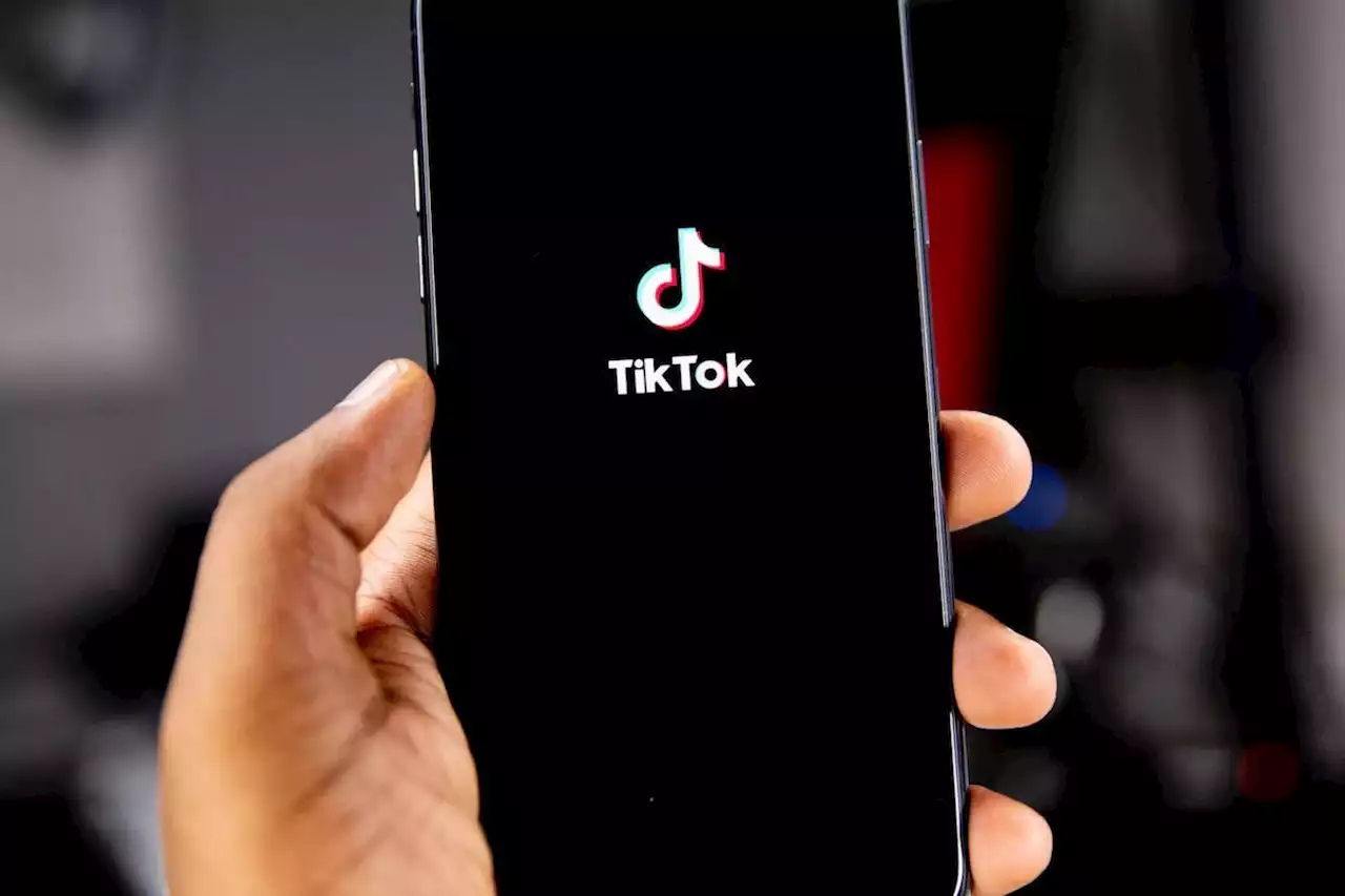 Le Montana bloque TikTok, mais cette interdiction sera difficilement applicable