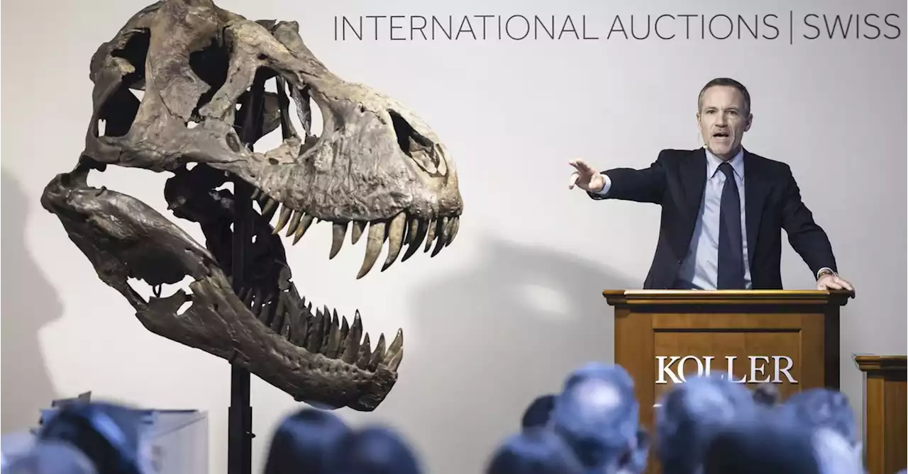 Skeleton of T-rex named Trinity sells for less than expected