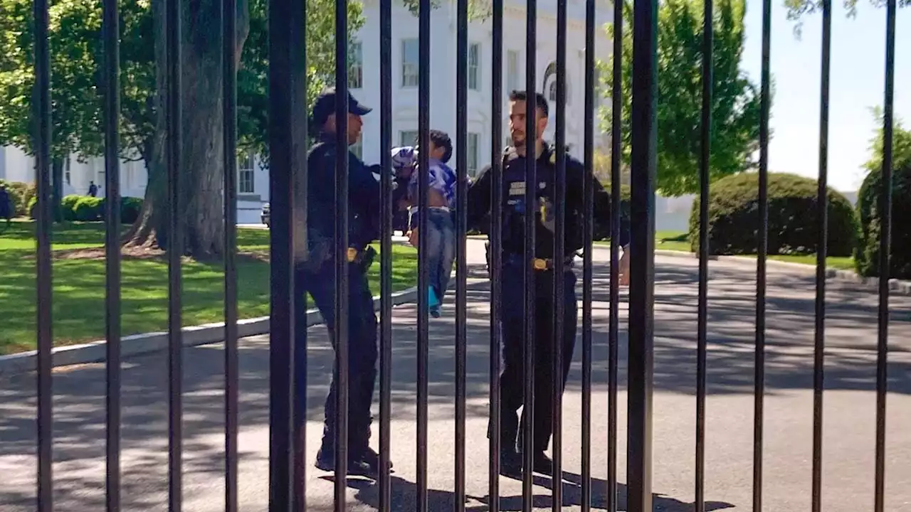 Littlest intruder: Toddler crawls through White House fence