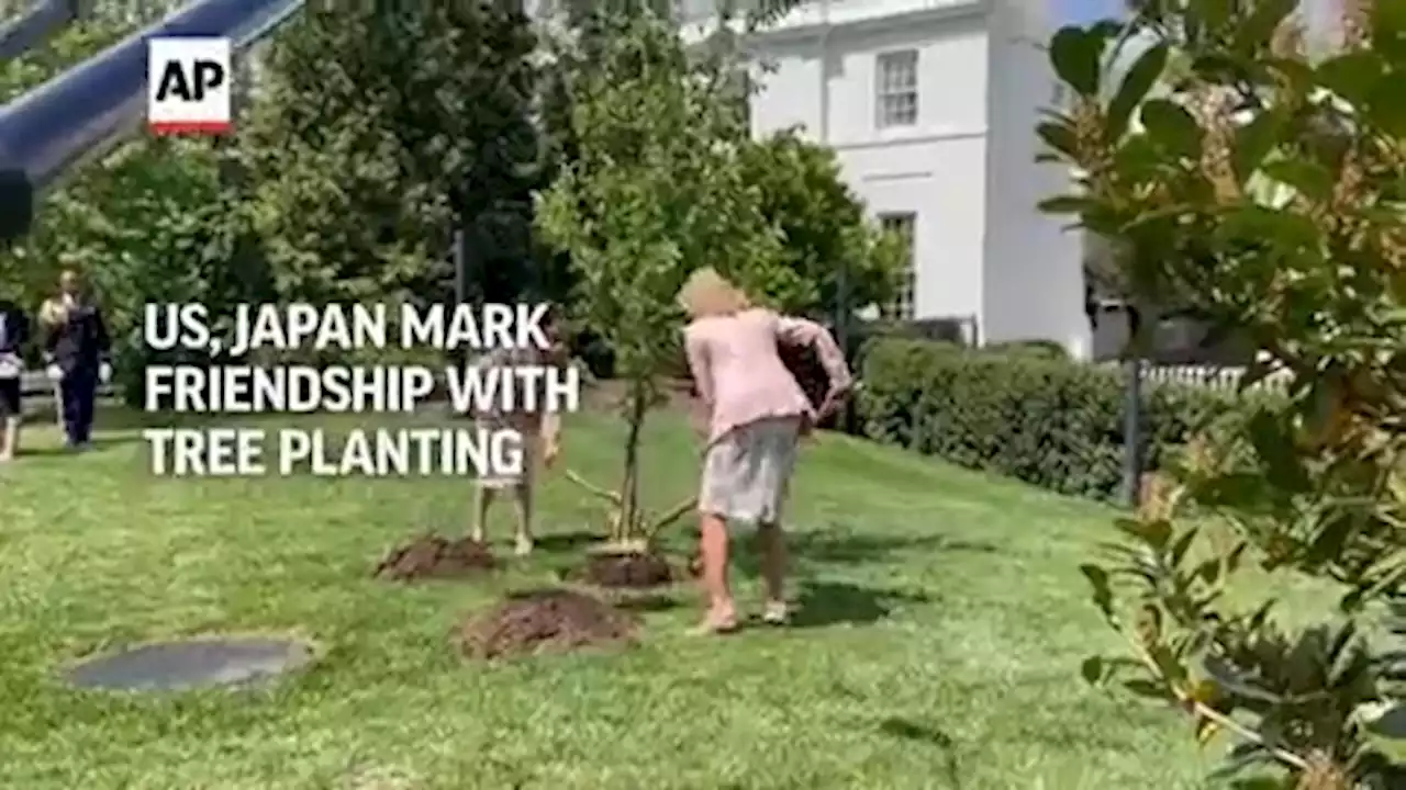 US, Japan plant White House cherry tree to mark friendship