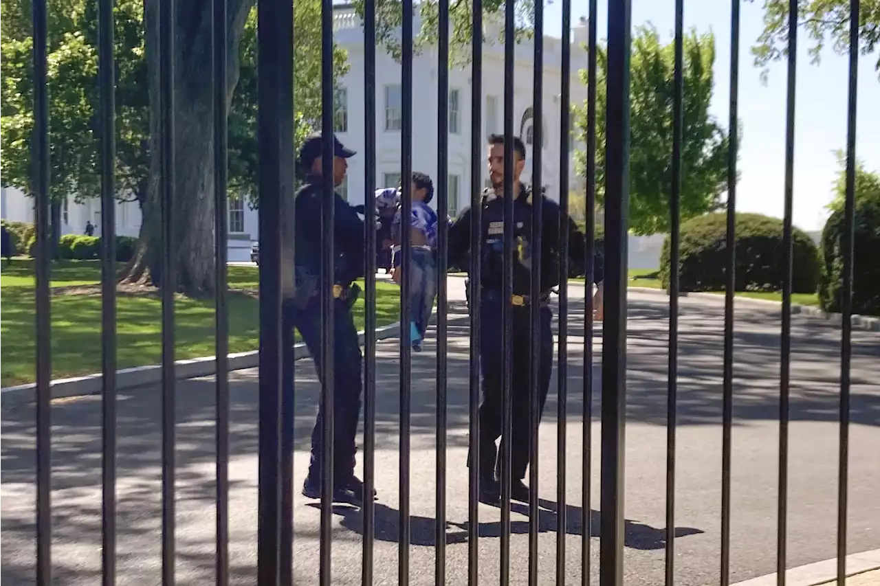 Littlest intruder: Toddler crawls through White House fence