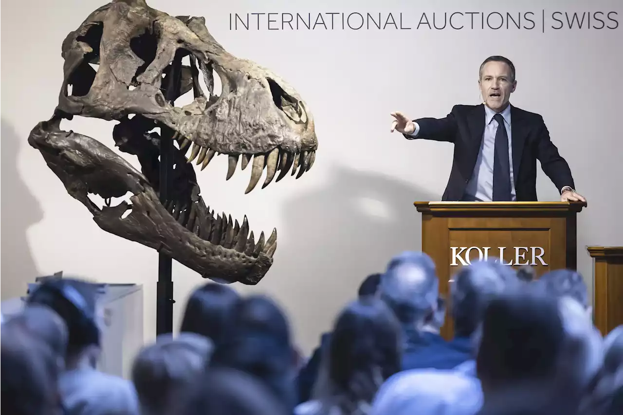 T. rex skeleton expected to fetch millions at Zurich auction