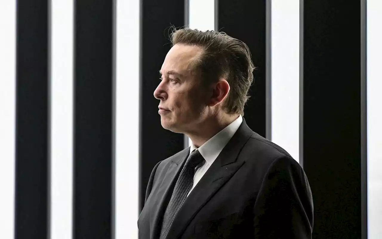 Elon Musk trabaja en IA que 'busca la máxima verdad'