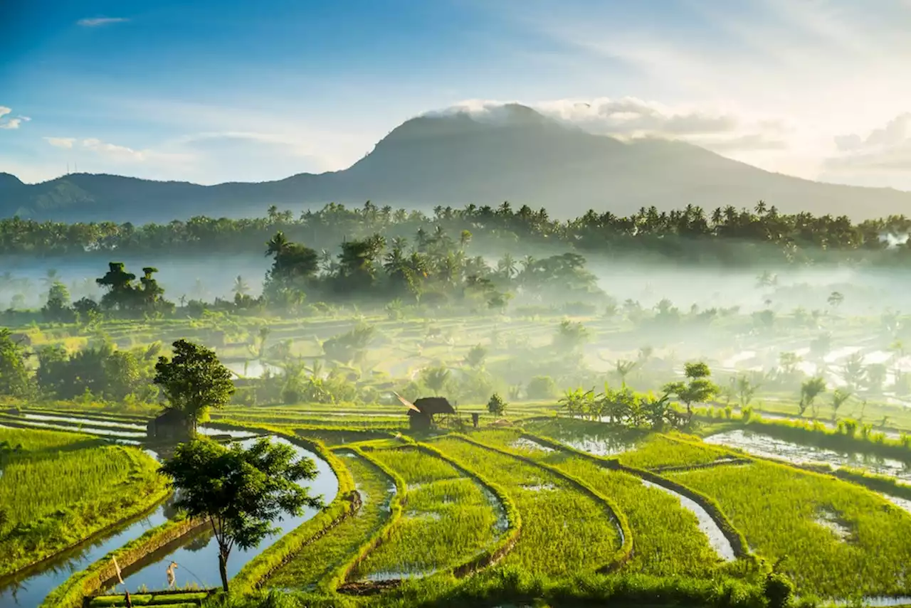 Nicht nackt an heiligen Bäumen räkeln: Bali kündigt Benimmregeln für Touristen an