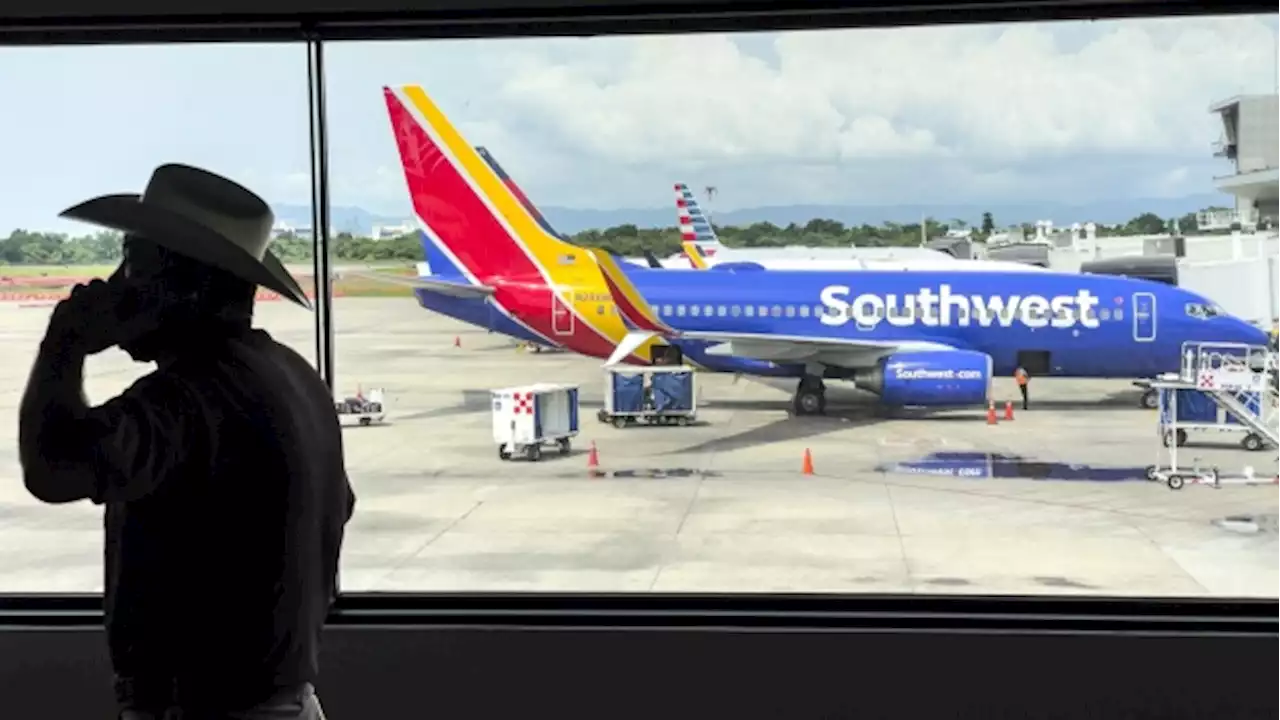 Southwest Airlines halts flight departures amid technology issue - BNN Bloomberg