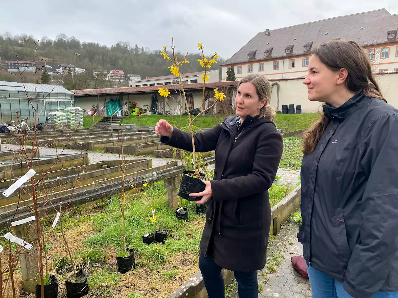 Klimawandel und Pflanzen: Phänologischer Garten in Eichstätt