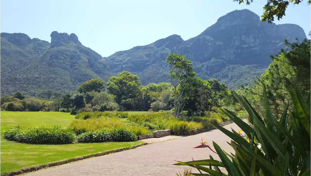 A guide to the best parks and gardens in Cape Town