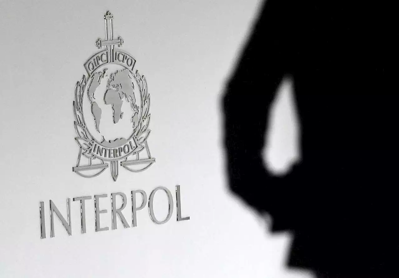 Operativo de Interpol contra armas ilegales deja 14.620 detenidos en América Latina