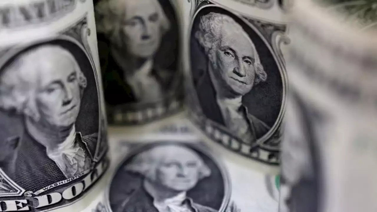 Dollar firm on Fed rate hike view, focus on China data