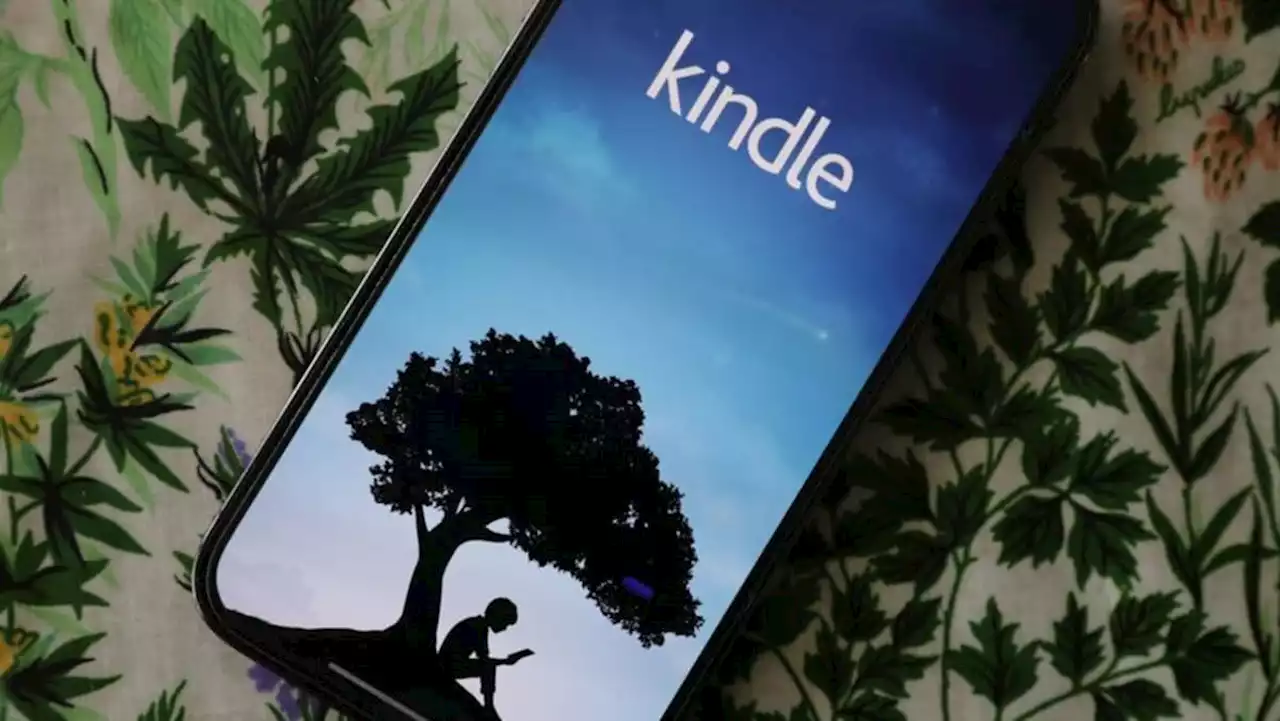 Porn on Amazon's Kindle app prompts warnings from Apple, Alphabet