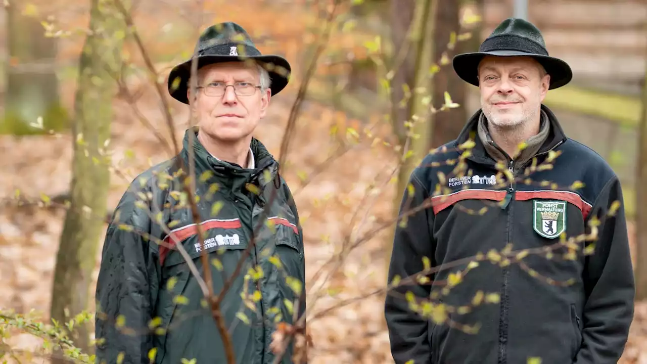 Mit Schaufel und Flinte für einen fitten Wald