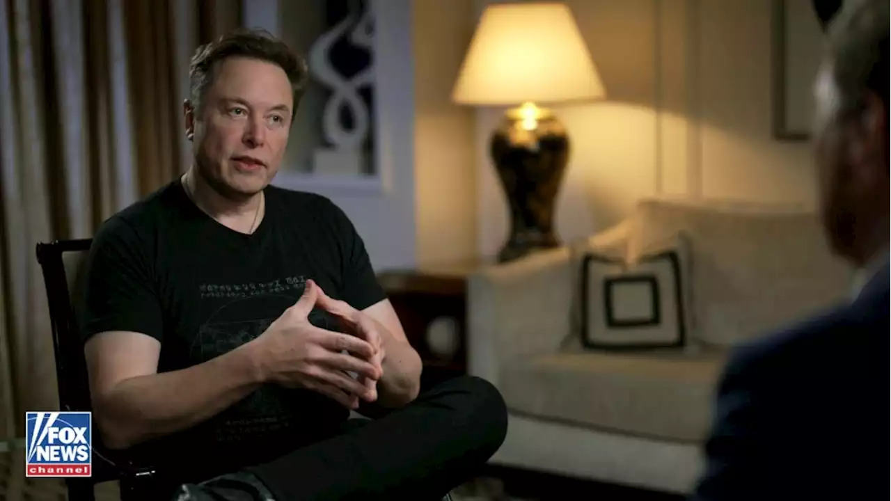 Elon Musk says he'll create 'TruthGPT' to counter AI 'bias'