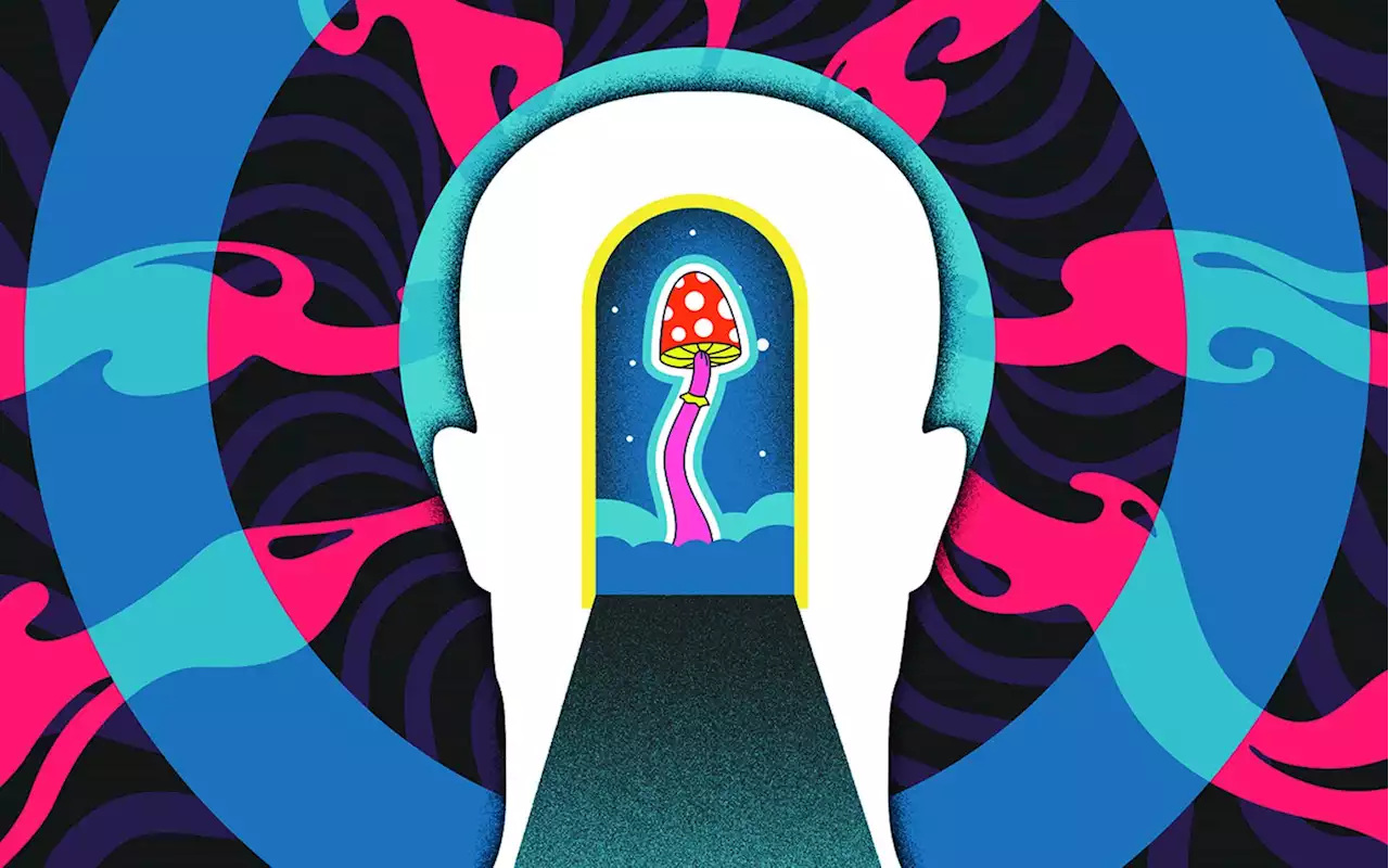 Make Room for Mushrooms: Legal Psychedelics Inspiring a New Boom in Therapy, Regulations