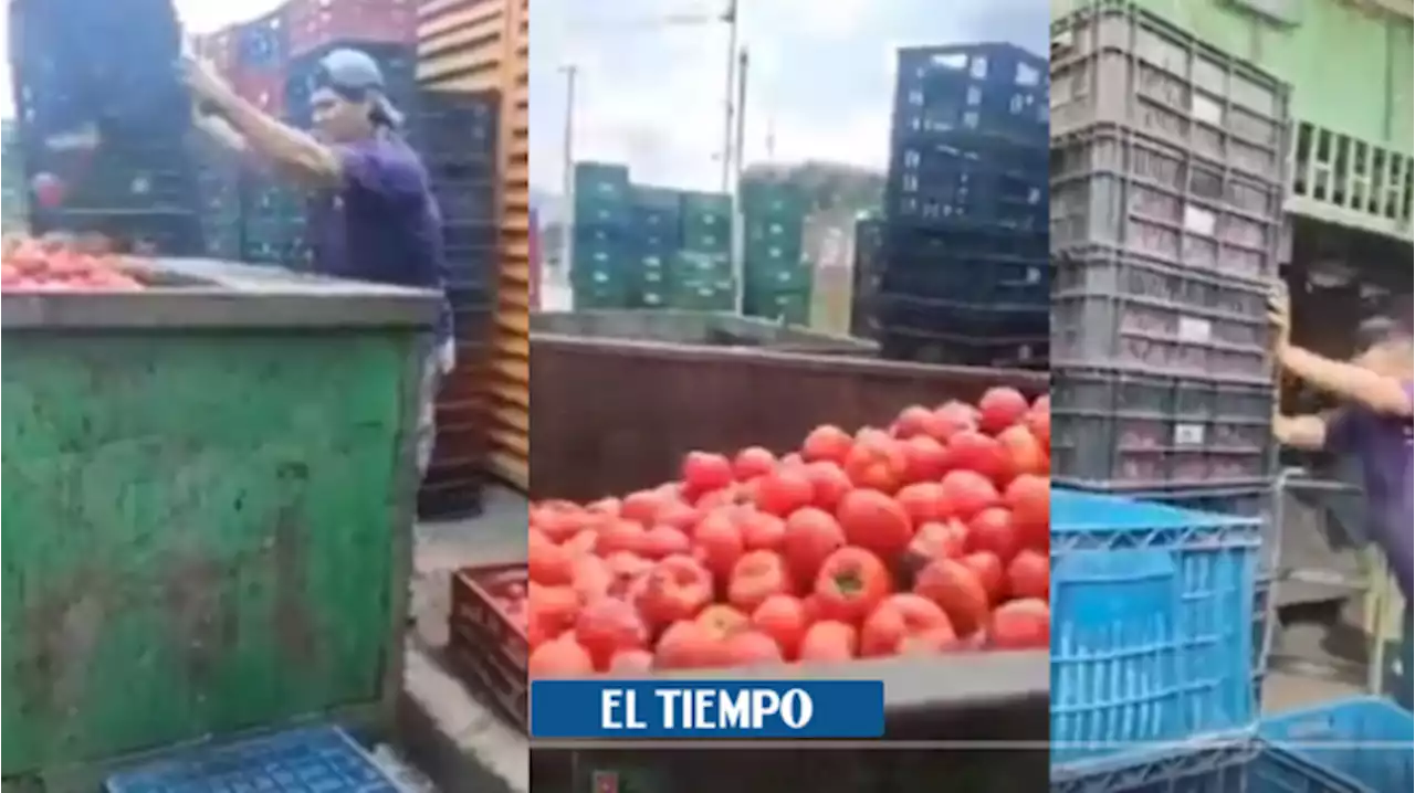 Desperdicio de tomates fue desmentido por una central de abastos de Colombia