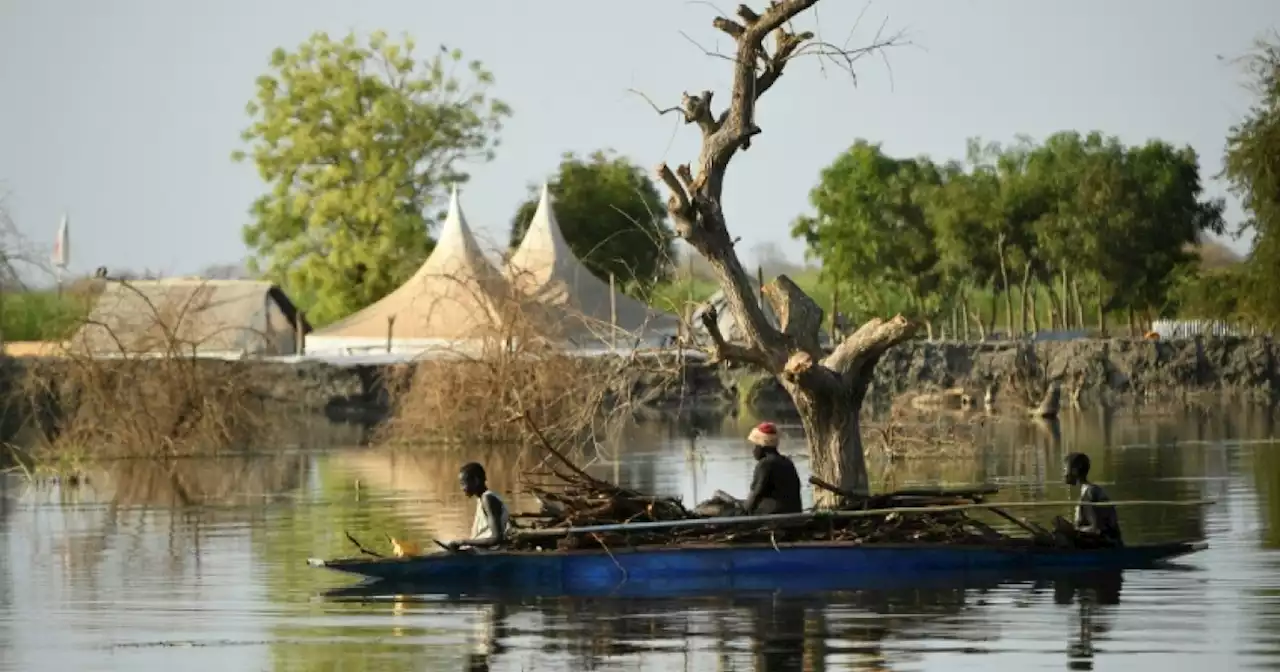 Nearly 1 in 4 South Sudanese affected by recurring floods: report