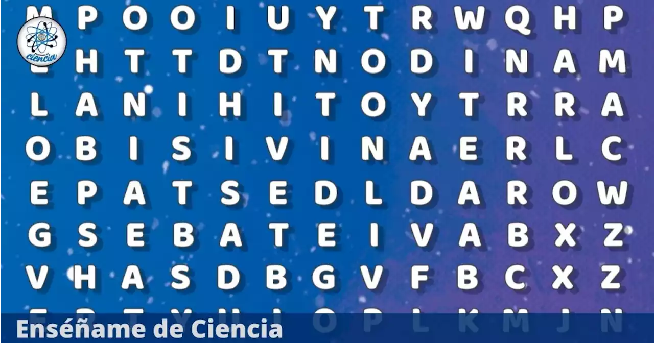 Reto visual FÁCIL de resolver: Localiza la palabra “HOLA” en la sopa de letras