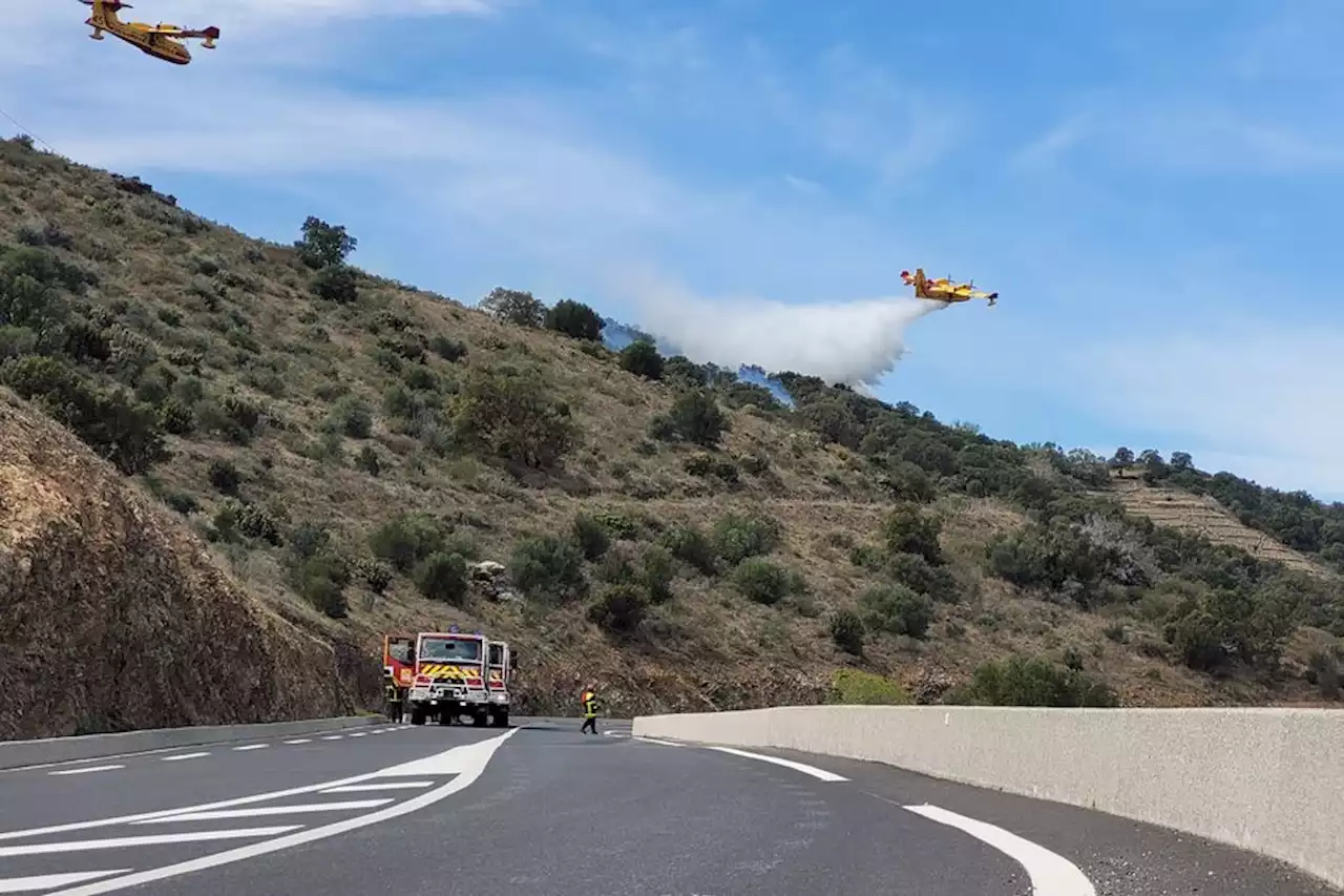 Incendie dans les Pyrénées-Orientales : le feu est éteint, 90 pompiers encore en surveillance