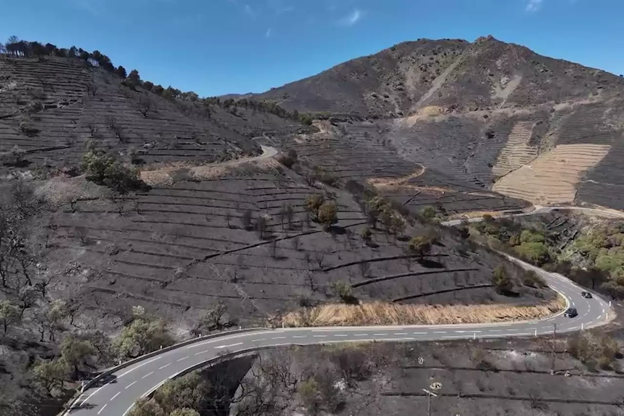 VIDEO. Incendie dans les Pyrénées-Orientales : les images impressionnantes filmées par un drone des collines noircies par le feu