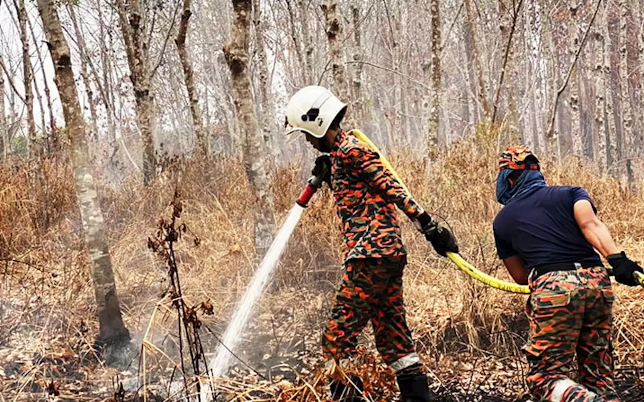 Bomba ‘beraya’ padam kebakaran tanah gambut di Bachok