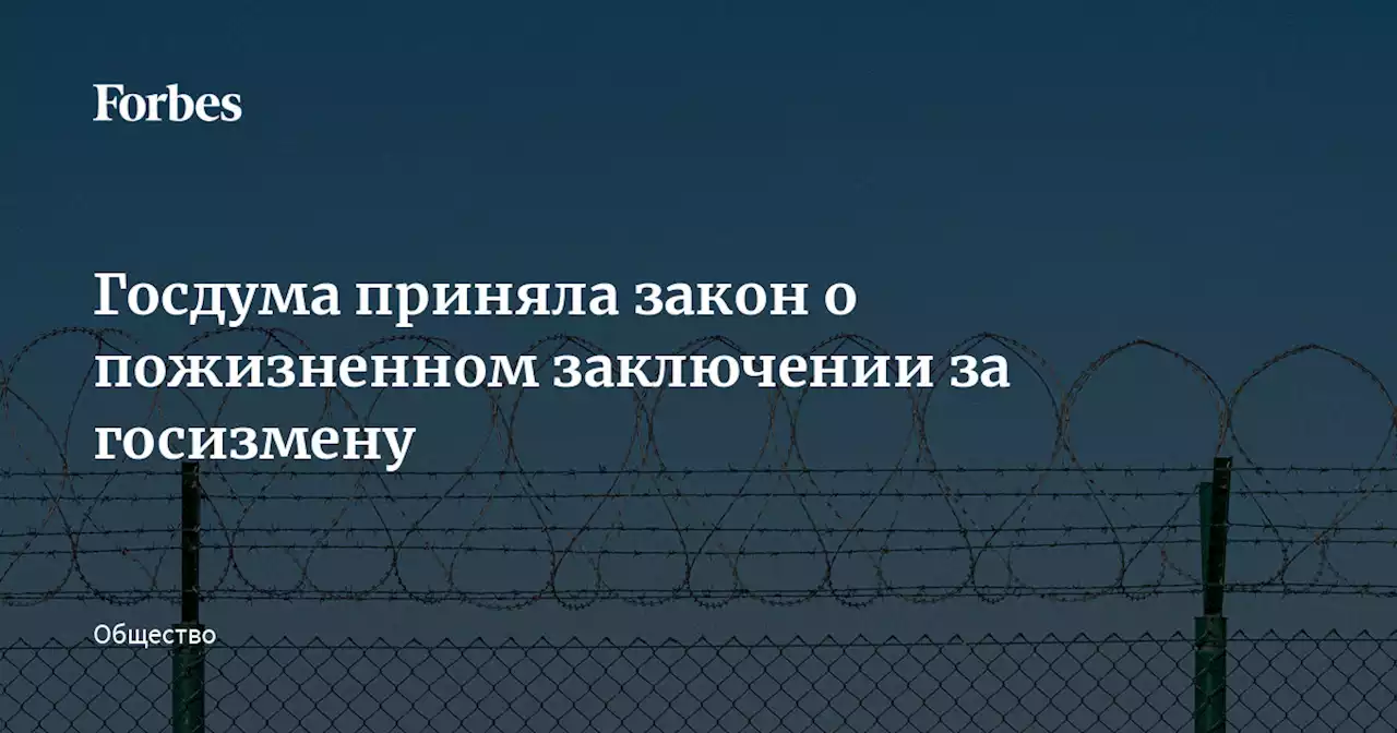 Госдума приняла закон о пожизненном заключении за госизмену