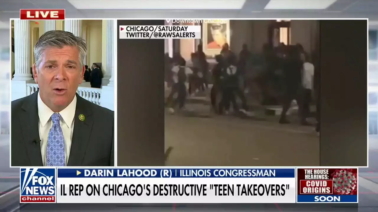 Illinois lawmaker rips Chicago Democrats after 'Teen Takeover' terrorizes city: 'An embarrassment'