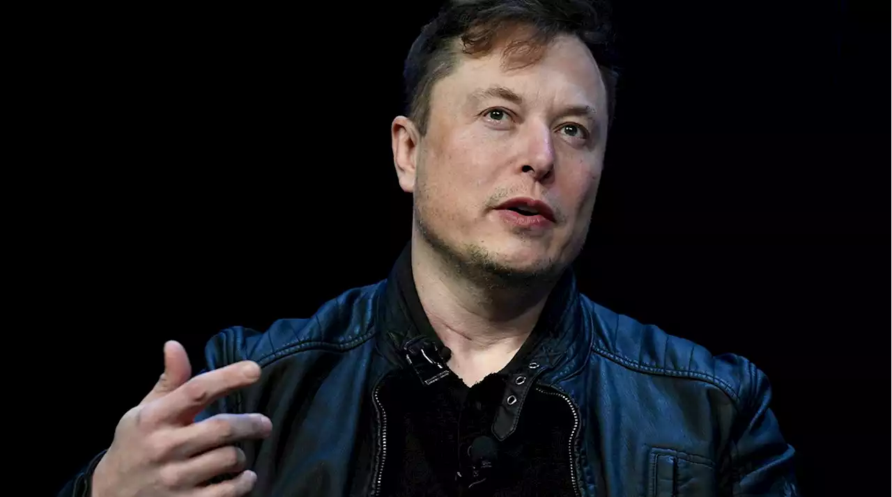 Musk on AI regulation: 'It's not fun to be regulated' but artificial intelligence may need it