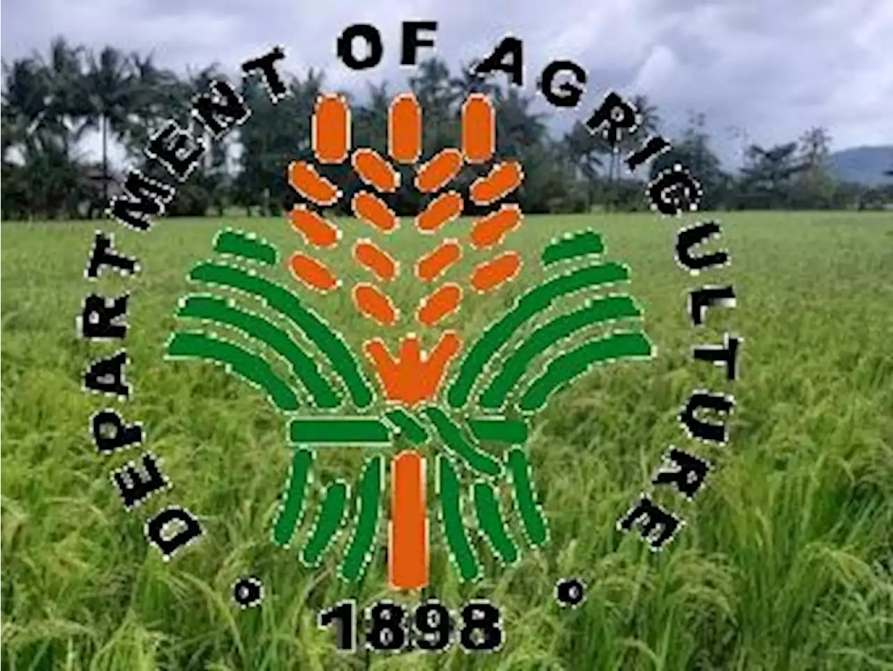 DA eyes 100% rice self-sufficiency by 2027